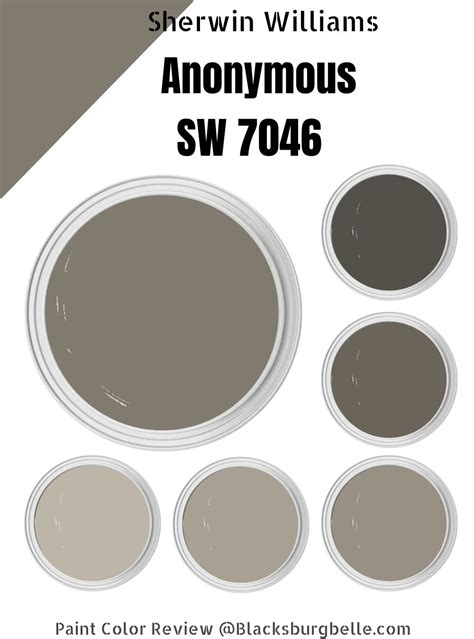 sherwin williams anonymous|sherwin williams dark taupe.